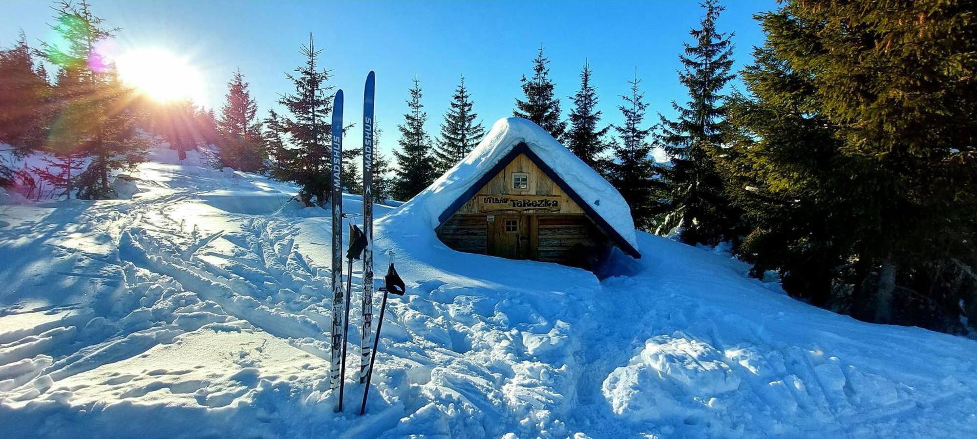 Tiny House Lavender Vila Podturen Exterior foto